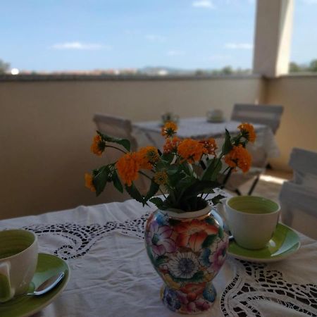 Bed and Breakfast La Casa Dei Fenicotteri Olbia Exterior foto